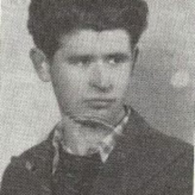 Stjepan Živić