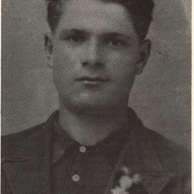 lučić jovo