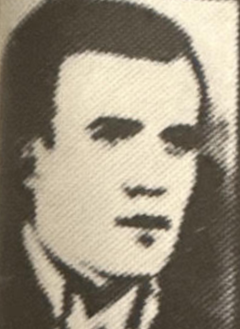 Mehmed A. OMERAGIĆ 